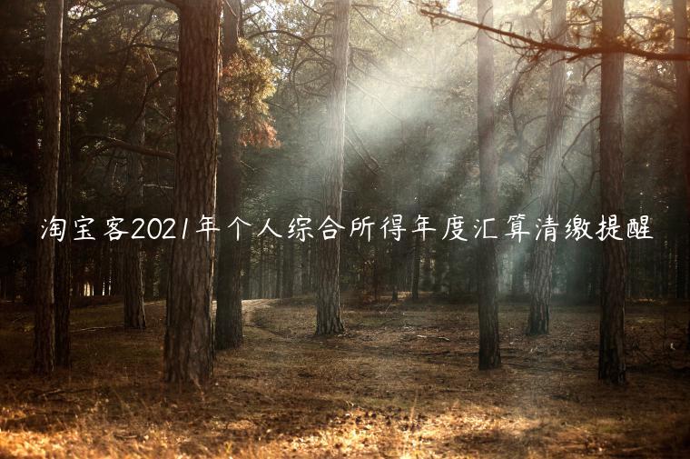 淘寶客2023年個(gè)人綜合所得年度匯算清繳提醒